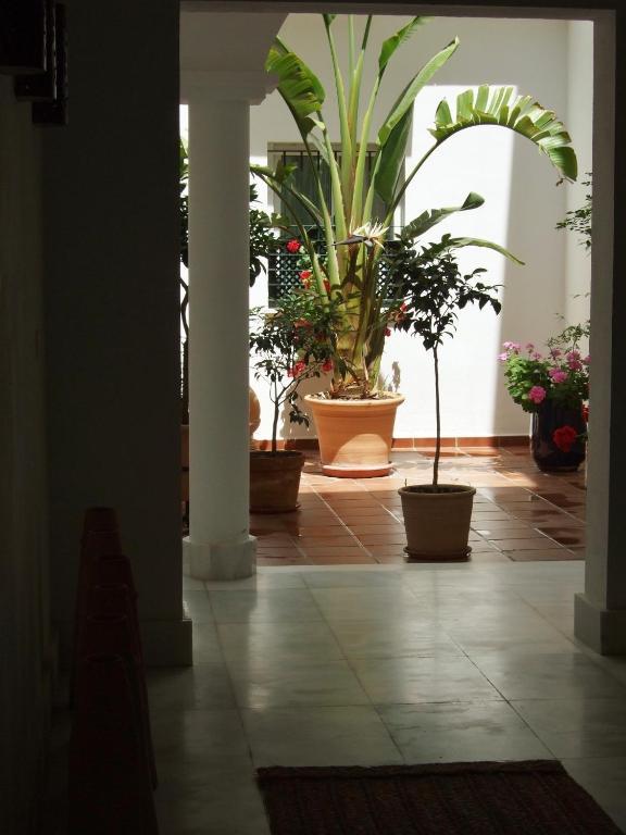 Casa Atlantica Beautiful Apartments Rota Extérieur photo