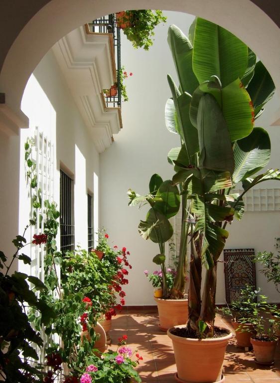 Casa Atlantica Beautiful Apartments Rota Extérieur photo